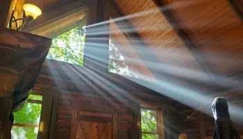 Importancia de la luz solar en el hogar