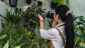 Planificar y diseñar un jardín vertical: ¡así se hace!