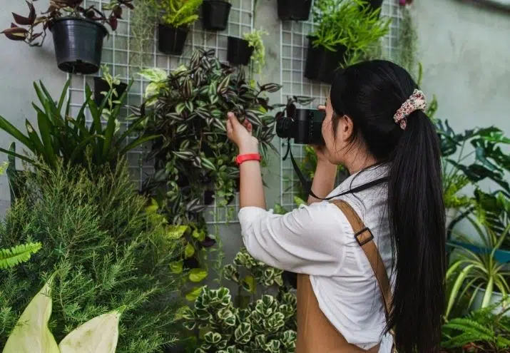 planificar jardín vertical paso a paso, Planificar y diseñar un jardín vertical: ¡así se hace!