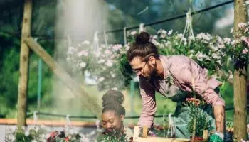 ¿Cómo conseguir trabajo como diseñador de jardines?