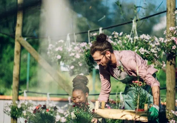 conseguir trabajo diseñador de jardines, ¿Cómo conseguir trabajo como diseñador de jardines?