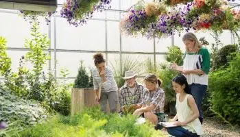 ¿Cómo elegir el mejor curso de paisajismo profesional?